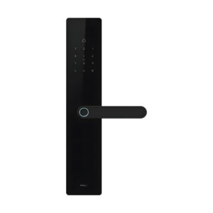 Moorgen T12 - Image 3